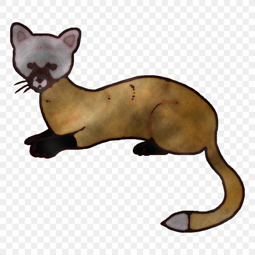 Whiskers Cat Mustelids Puma, PNG, 1400x1400px, Whiskers, Biology, Cat, Dog, Mustelids Download Free