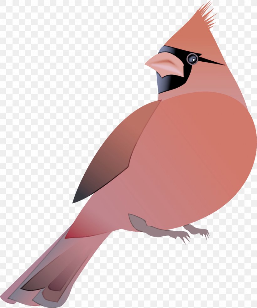 Bird Beak Songbird Perching Bird, PNG, 1066x1280px, Bird, Beak, Perching Bird, Songbird Download Free