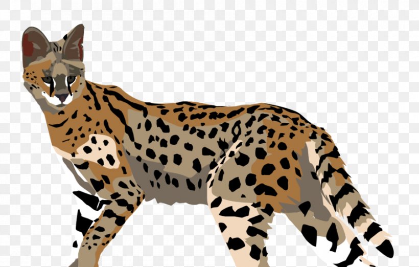 Cheetah Ocelot Leopard Jaguar Wildcat, PNG, 900x574px, Cheetah, Animal, Animal Figure, Big Cats, Budgerigar Download Free