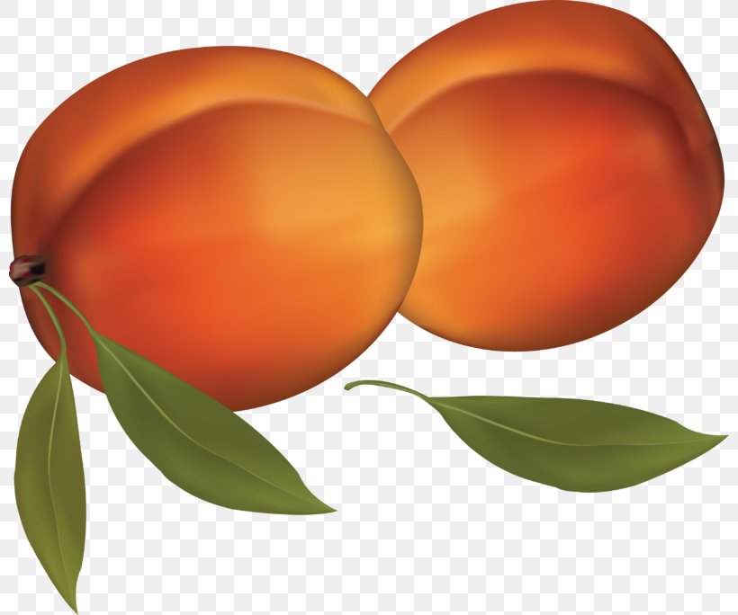 Clip Art Desktop Wallpaper Transparency Image, PNG, 800x684px, Peach, Apricot, Citrus, Diospyros, Ebony Trees And Persimmons Download Free