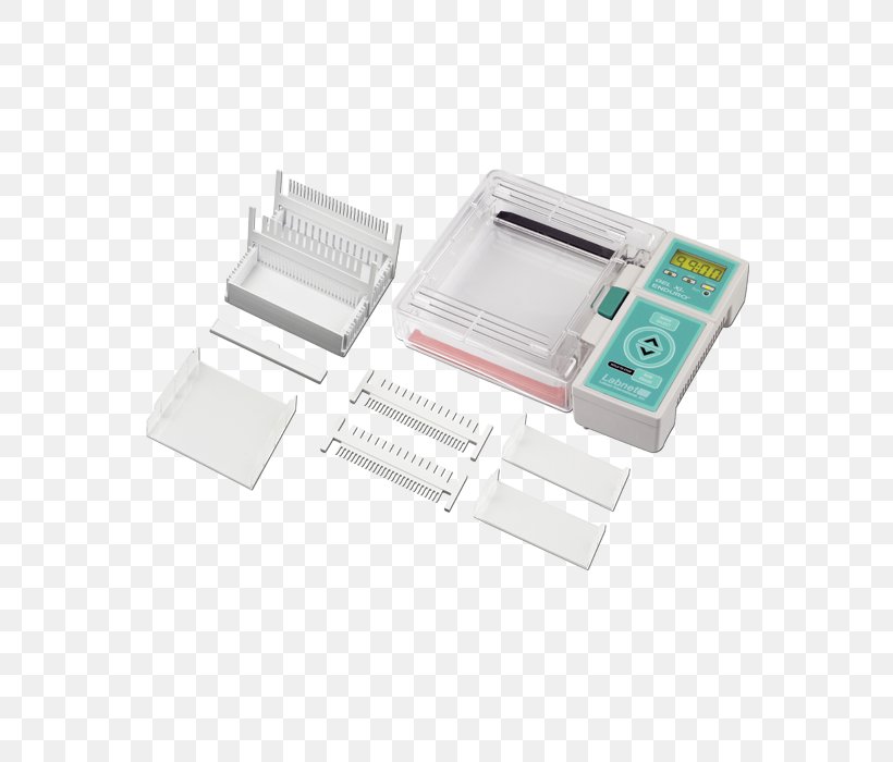 Electrophoresis Gel Polymerase Chain Reaction DNA Chemistry, PNG, 600x700px, Electrophoresis, Biology, Chemical Substance, Chemistry, Cloud Download Free