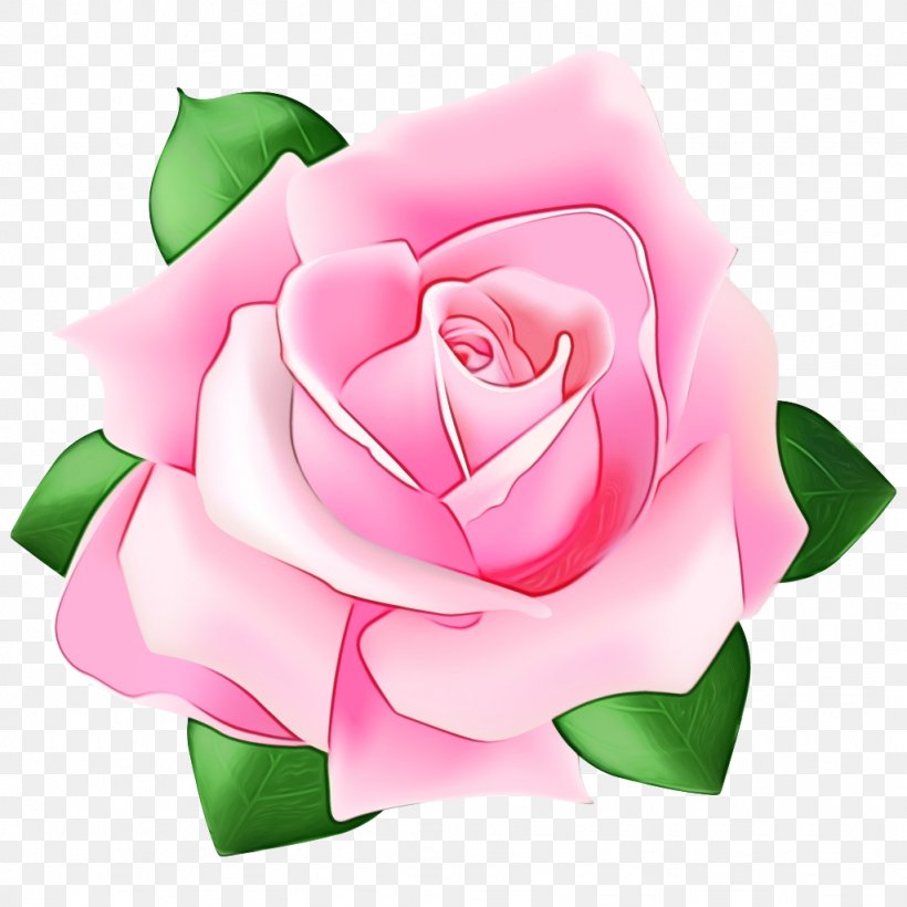 Garden Roses, PNG, 1024x1024px, Watercolor, Flower, Flowering Plant, Garden Roses, Hybrid Tea Rose Download Free