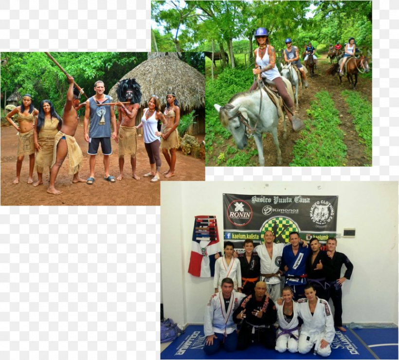 horse-gracie-jiu-jitsu-carlsbad-train-open-arms-leisure-png-861x776px