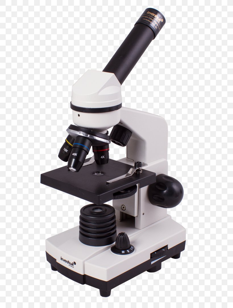 Microscope Moonstone Bresser Amethyst Biology, PNG, 666x1080px, Microscope, Amethyst, Antonie Van Leeuwenhoek, Artikel, Biology Download Free