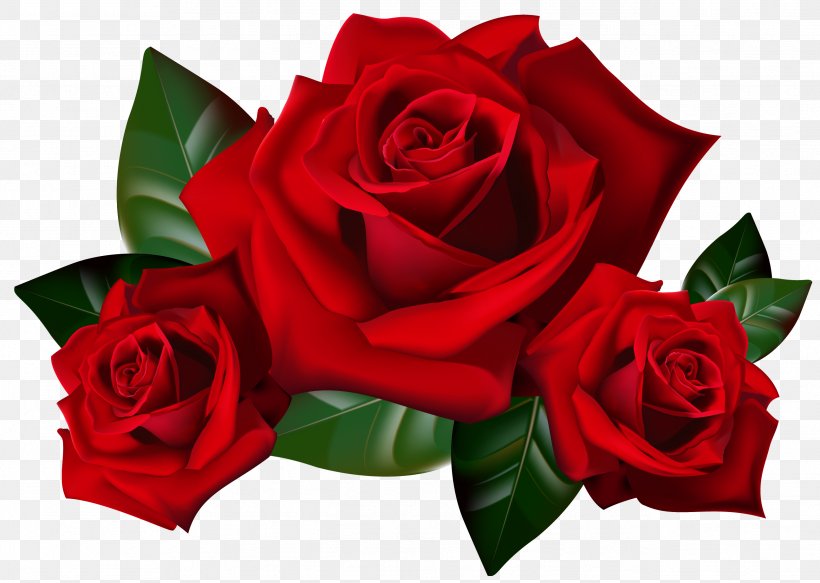 Rose Clip Art, PNG, 2586x1840px, Rose, Color, Cut Flowers, Editing, Floral Design Download Free