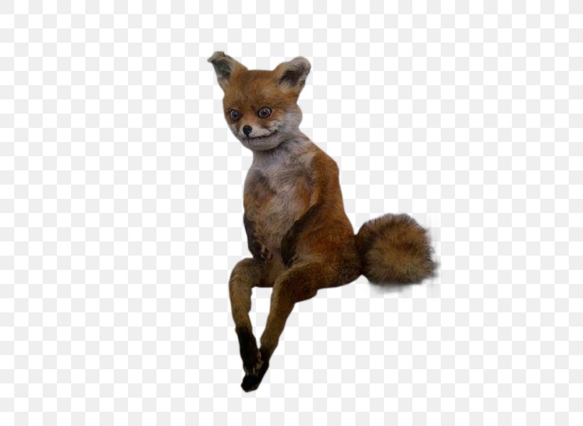 Stoned Fox Giphy Internet, PNG, 450x600px, Stoned Fox, Animation, Carnivoran, Dog Like Mammal, Fox Download Free