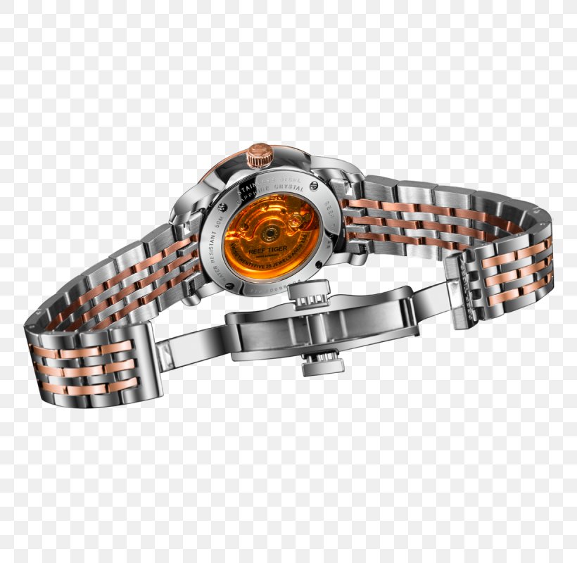 Watch Strap Bracelet Metal, PNG, 800x800px, Watch Strap, Bling Bling, Blingbling, Bracelet, Clothing Accessories Download Free