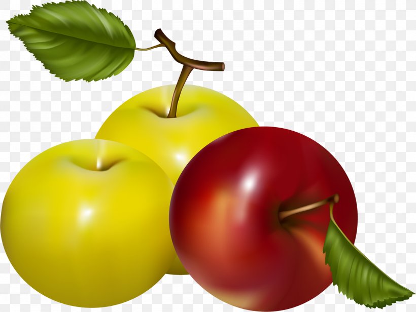 Apple Fruit Food, PNG, 1500x1127px, Apple, Accessory Fruit, Cherry, Diet Food, Food Download Free