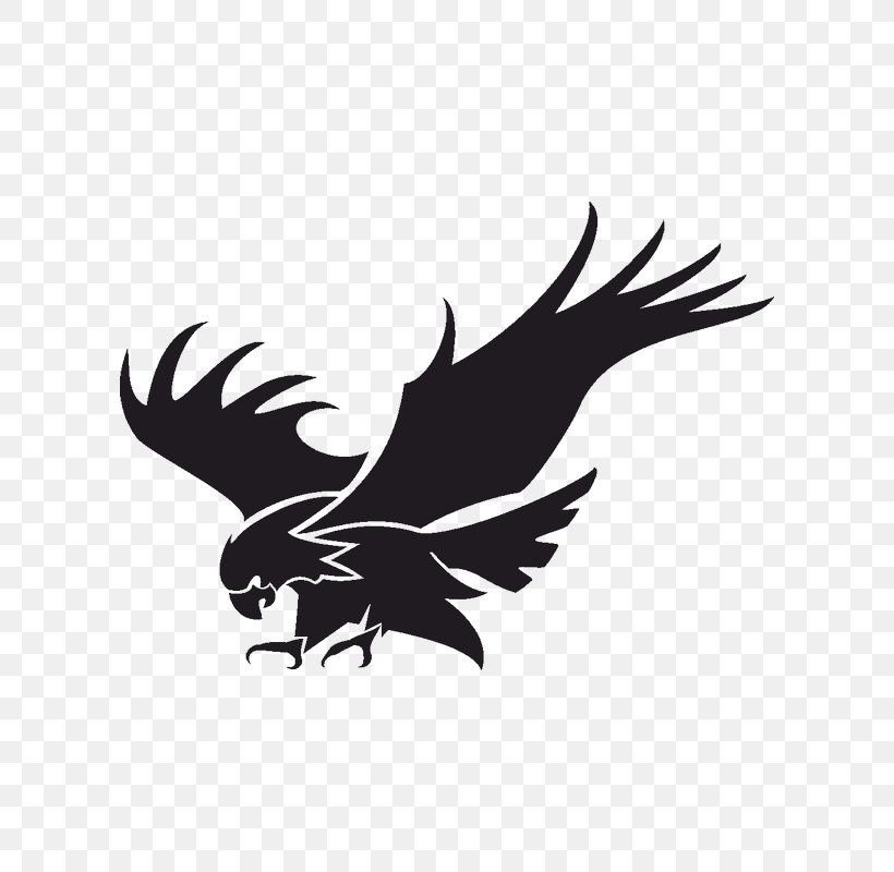 Bald Eagle, PNG, 800x800px, Bald Eagle, Beak, Bird, Bird Of Prey, Black And White Download Free