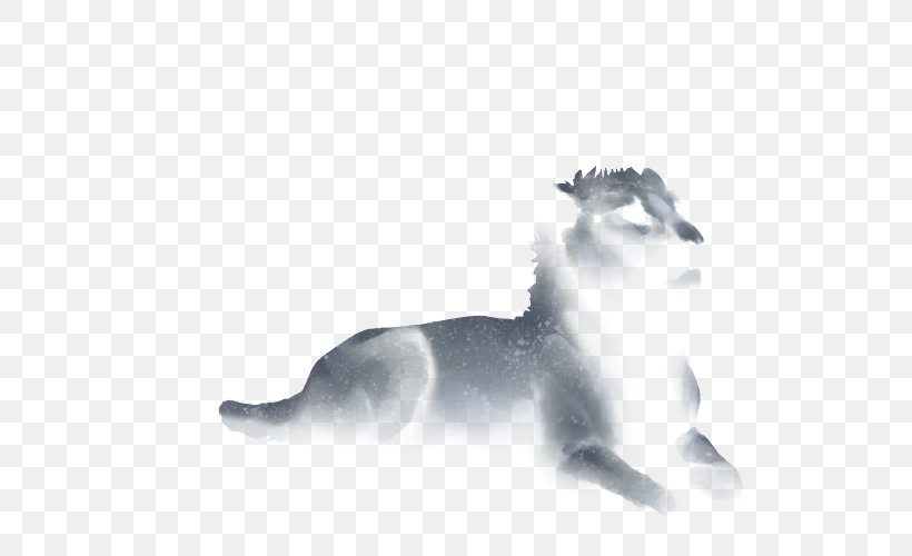 Cat Mammal Lion Carnivora Dog, PNG, 640x500px, Cat, Animal, Big Cat, Big Cats, Black And White Download Free