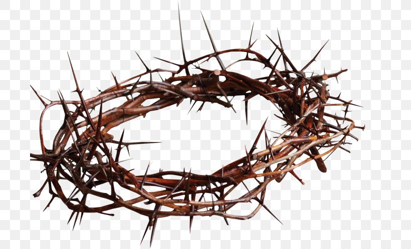 Good Friday Easter Palm Sunday Lent New Covenant, PNG, 700x498px, Good Friday, Bird Nest, Branch, Church, Divine Mercy Sunday Download Free