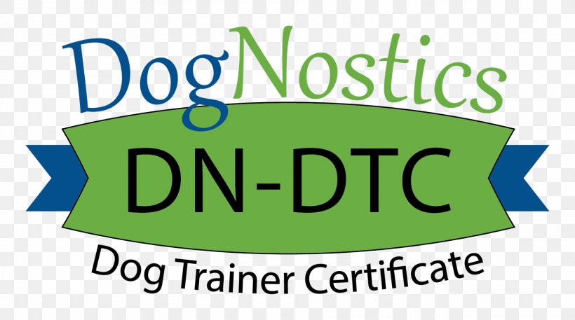 National Exam Education Dog Student Diploma, PNG, 1920x1071px, National Exam, Academic Certificate, Area, Brand, College Of Technology Download Free