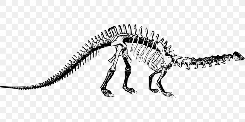 Brontosaurus Apatosaurus Tyrannosaurus Stegosaurus Dinosaur Park, PNG, 1280x640px, Brontosaurus, Allosaurus, Apatosaurus, Black And White, Bone Download Free