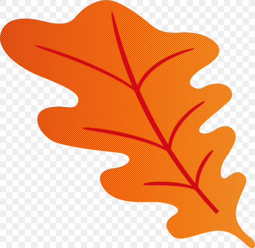 Oak Leaf, PNG, 2999x2926px, Oak Leaf, Biology, Leaf, Oak, Orbit Download Free