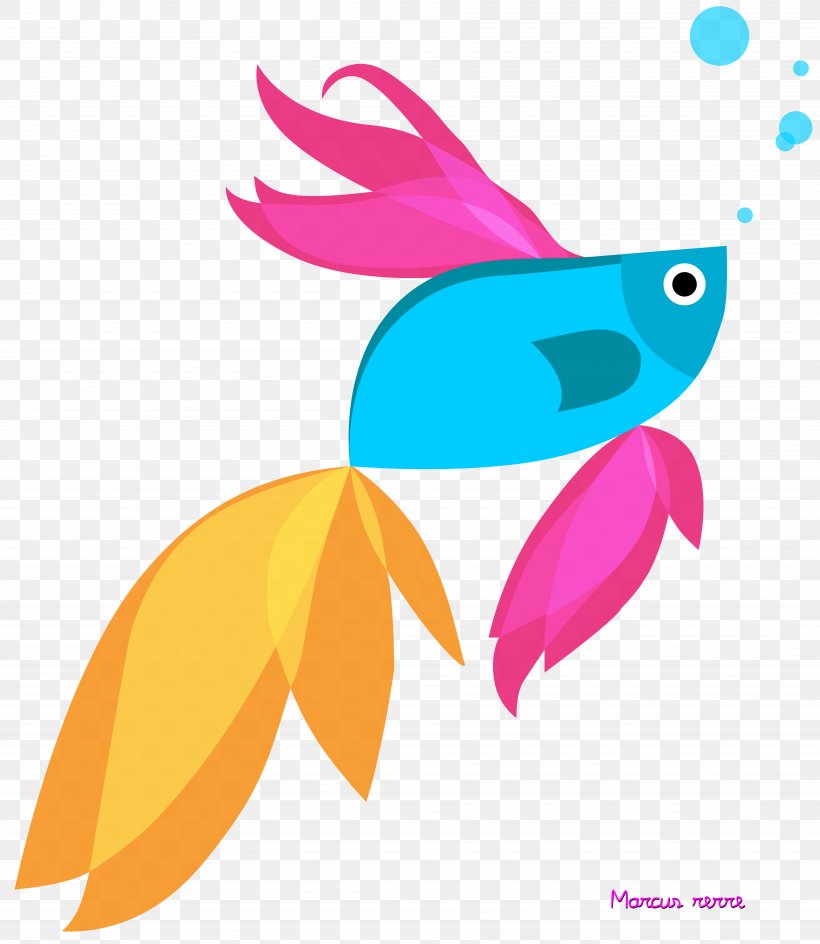 Siamese Fighting Fish Windows 8.1, PNG, 7192x8286px, Siamese Fighting Fish, Aquarium, Art, Artwork, Comet Download Free