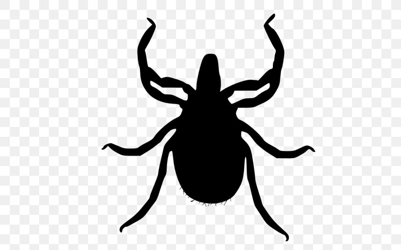 Tick Transstadial Transmission Fly Insect Pest Control, PNG, 1280x800px, Tick, Acari, Arthropod, Artwork, Beetle Download Free
