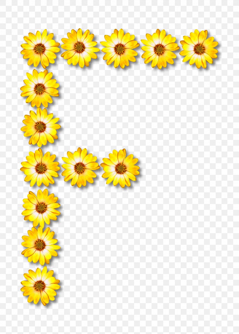 Alphabet Letter Case F Clip Art, PNG, 1717x2400px, Alphabet, Chrysanths, Common Sunflower, Cursive, Cut Flowers Download Free