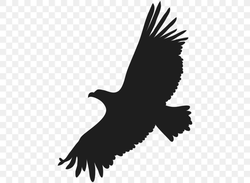 Bald Eagle Clip Art, PNG, 446x600px, Bald Eagle, Accipitriformes, Beak, Bird, Bird Of Prey Download Free