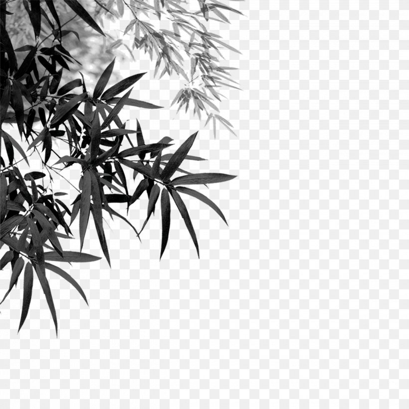 Bamboo Ink Wash Painting ASP.NET MVC, PNG, 2480x2480px, Bamboo, Active Server Pages, Aspnet, Aspnet Mvc, Black And White Download Free
