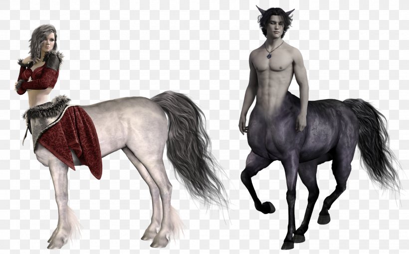 Centaur Sagittarius Photography Horoscope, PNG, 1600x994px, Centaur, Astrological Sign, Astrology, Bridle, Chiron Download Free