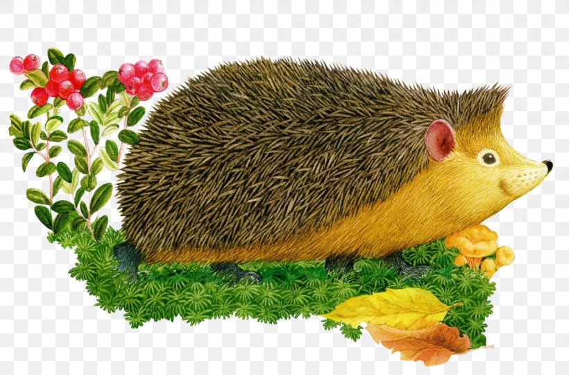 European Hedgehog Drawing Cartoon Clip Art, PNG, 1280x844px, European Hedgehog, Animal, Cartoon, Child, Domesticated Hedgehog Download Free