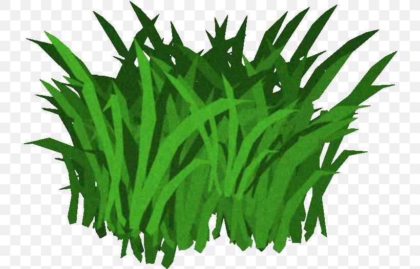 Fucus Serratus Seaweed Kelp Clip Art, PNG, 735x526px, Fucus Serratus, Algae, Aquarium Decor, Commodity, Fucus Download Free