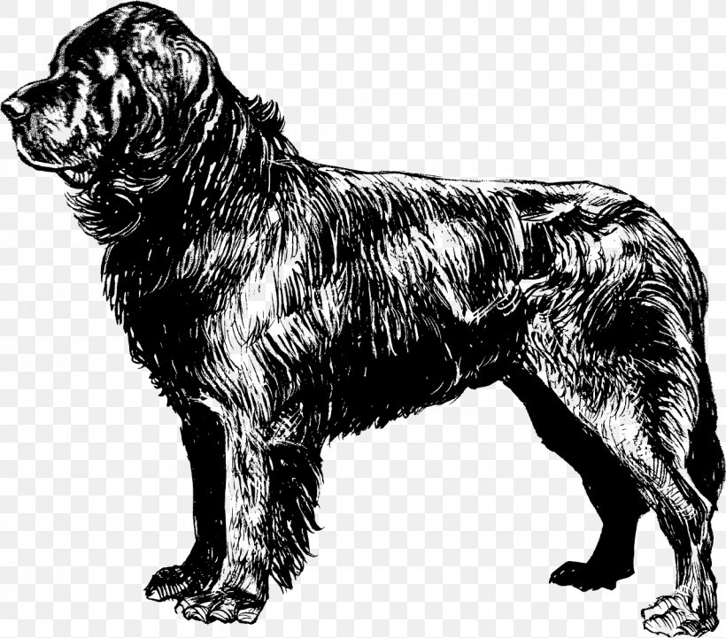 Newfoundland Dog Puppy Beagle Coloring Book Clip Art, PNG, 1280x1127px, Newfoundland Dog, Animal, Beagle, Black And White, Carnivoran Download Free