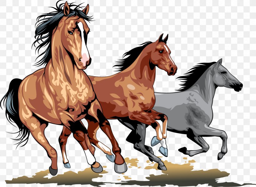 Wild Horse Clip Art, PNG, 1489x1086px, Horse, Animal, Bridle, Colt, Equestrian Download Free