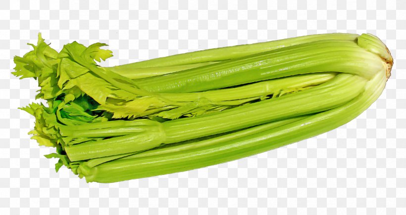 Celery Raw Foodism Vegetarian Cuisine Romaine Lettuce, PNG, 1679x891px, Celery, Apium, Choy Sum, Food, Food Storage Download Free
