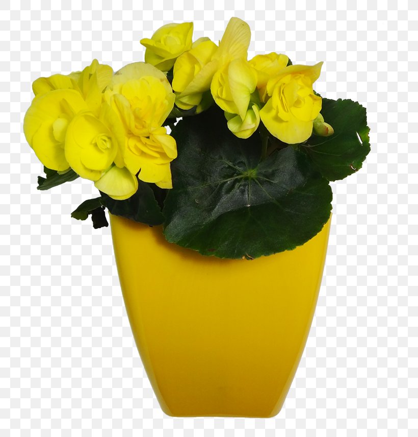 Flowerpot Yellow Cut Flowers Vase Cachepot, PNG, 800x856px, Flowerpot, Cachepot, Cut Flowers, Flower, Flowering Plant Download Free