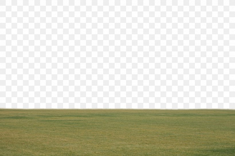 Lawn Steppe Grassland Land Lot Crop, PNG, 1600x1066px, Lawn, Agriculture, Crop, Ecoregion, Ecosystem Download Free