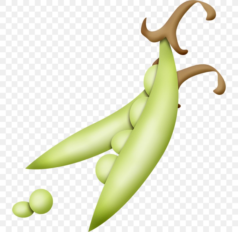 Pea Soup Vegetable Green Bean, PNG, 736x800px, Pea Soup, Banana, Banana Family, Cherry, Common Bean Download Free