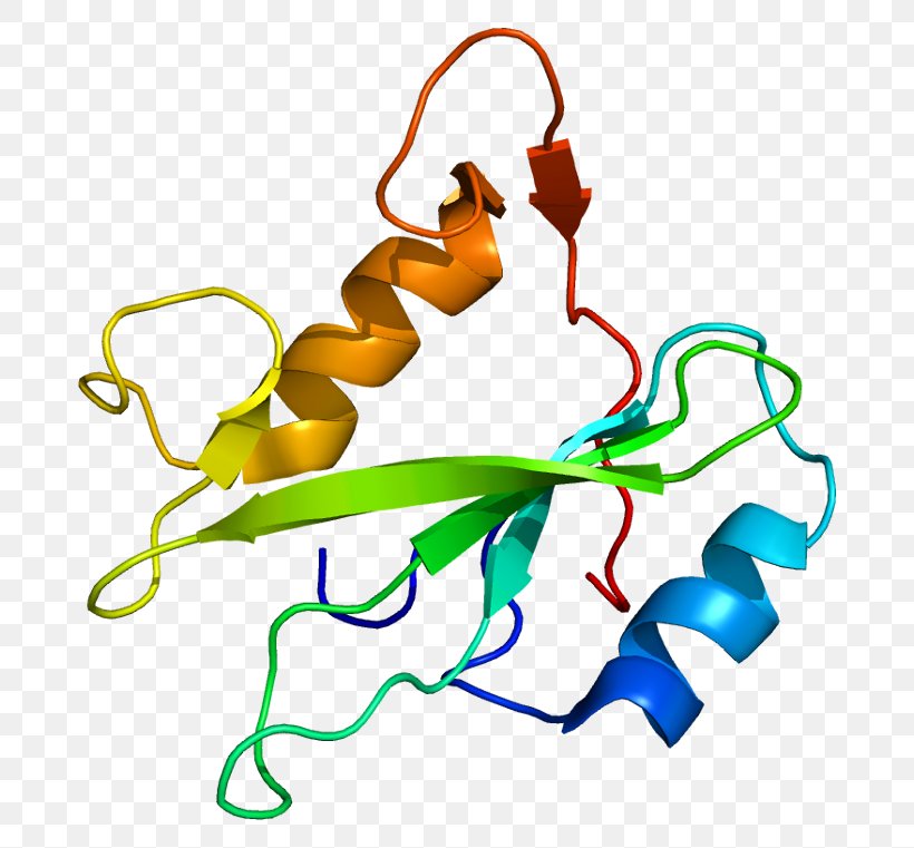 PIK3R3 Retinoblastoma Protein Phosphoinositide 3-kinase IRS1, PNG, 730x761px, Watercolor, Cartoon, Flower, Frame, Heart Download Free