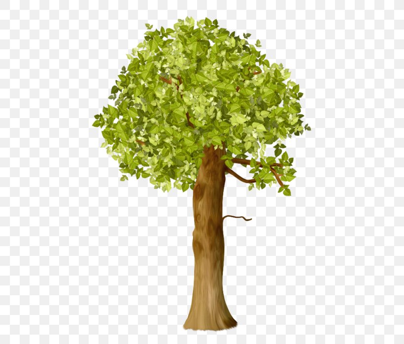 Tree Oak Shrub Clip Art, PNG, 462x699px, Tree, Branch, Drawing, Flowerpot, Forest Download Free