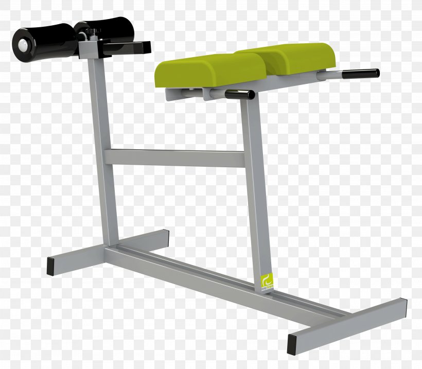Weight Training Sport Physical Fitness Weight Machine Lumbar Vertebrae, PNG, 3792x3316px, Weight Training, Aerobic Exercise, Barbell, Bench, Dip Download Free