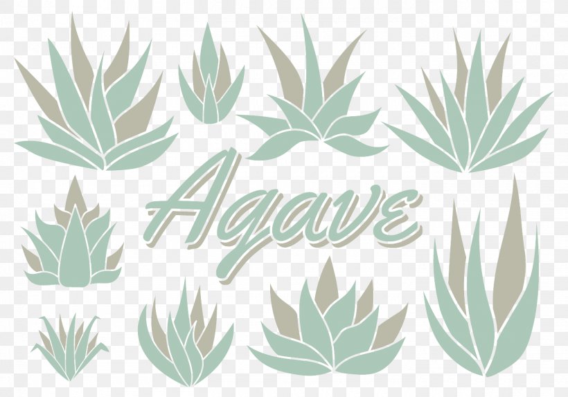 Aloe Vera Agave Azul Agave Vilmoriniana Tequila, PNG, 1400x980px, Aloe Vera, Agave, Agave Azul, Agave Cactus, Agave Palmeri Download Free