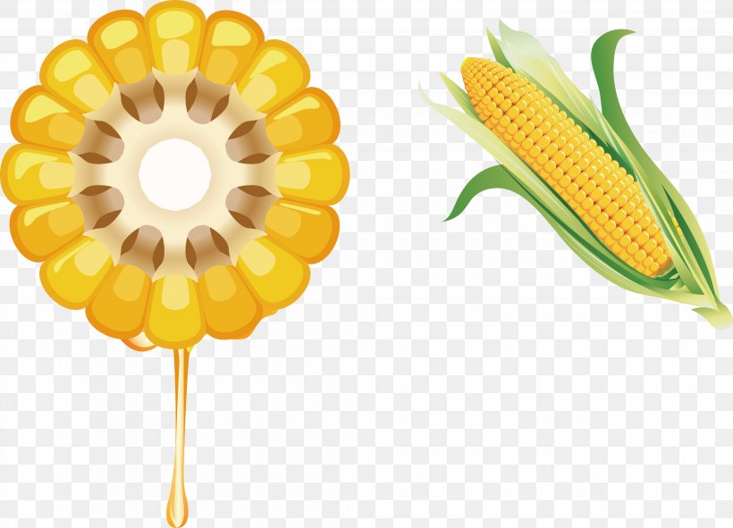 Corn On The Cob Juice Waxy Corn Vegetable, PNG, 4174x3012px, Corn On The Cob, Boiling, Commodity, Cuisine, Flower Download Free