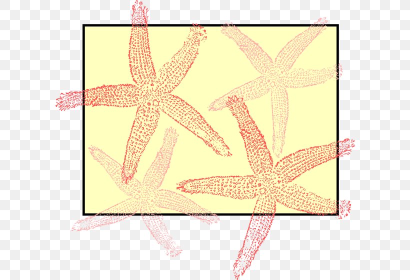Drawing Clip Art, PNG, 600x560px, Drawing, Can Stock Photo, Echinoderm, Invertebrate, Marine Invertebrates Download Free