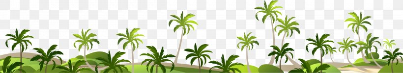 Adobe Illustrator Coconut, PNG, 2501x457px, Coconut, Flora, Flower, Grass, Grass Family Download Free