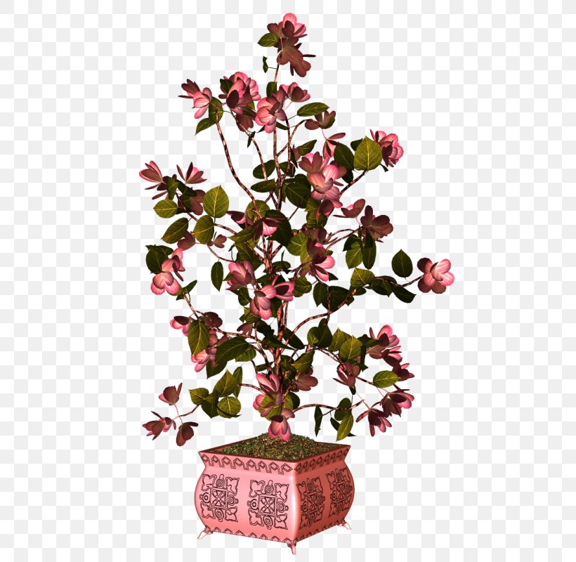 Flowerpot Plant, PNG, 508x800px, Flowerpot, Branch, Flora, Flower, Flowering Plant Download Free