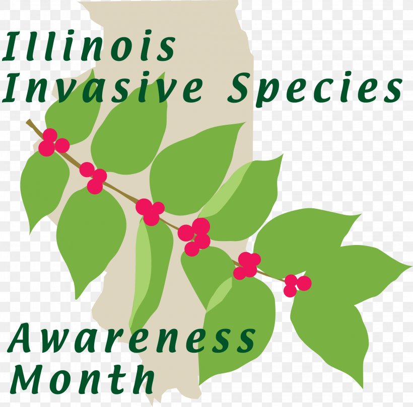 Illinois Invasive Species Amur Honeysuckle Shrub Plants, PNG, 2057x2030px, Illinois, Branch, Flora, Flower, Flowering Plant Download Free