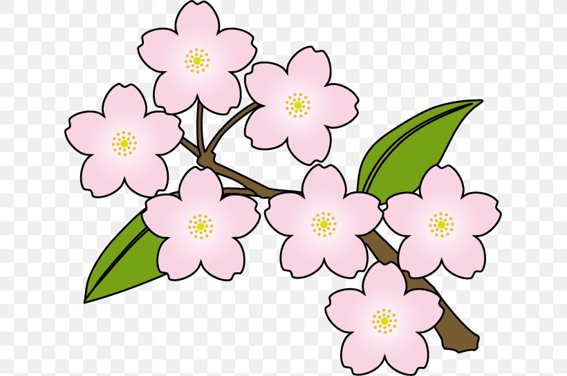 Cherry Blossom Flower Clip Art, PNG, 633x544px, Cherry Blossom, Blossom, Branch, Cherry, Cut Flowers Download Free
