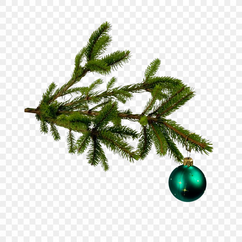 Christmas Tree Christmas Ornament Clip Art, PNG, 2362x2362px, Christmas, Branch, Christmas Decoration, Christmas Lights, Christmas Ornament Download Free