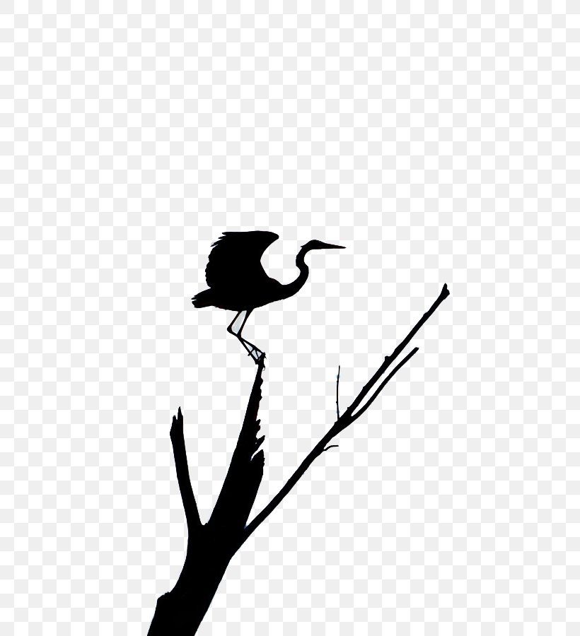 Supermoon Heron Full Moon Moonlight, PNG, 600x900px, Moon, Beak, Bird, Black And White, Blue Moon Download Free