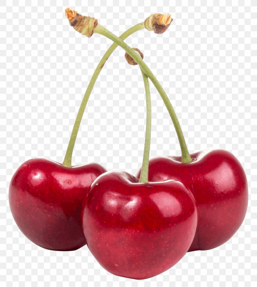 Cherry Plant Fruit Natural Foods Red, PNG, 1573x1762px, Cherry, Flower, Flowering Plant, Food, Fruit Download Free