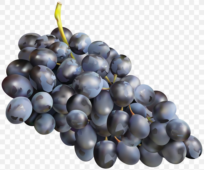 Grape Zante Currant Clip Art, PNG, 7000x5834px, Muscadine Grape, Amazon Grape, Bilberry, Blueberry, Damson Download Free