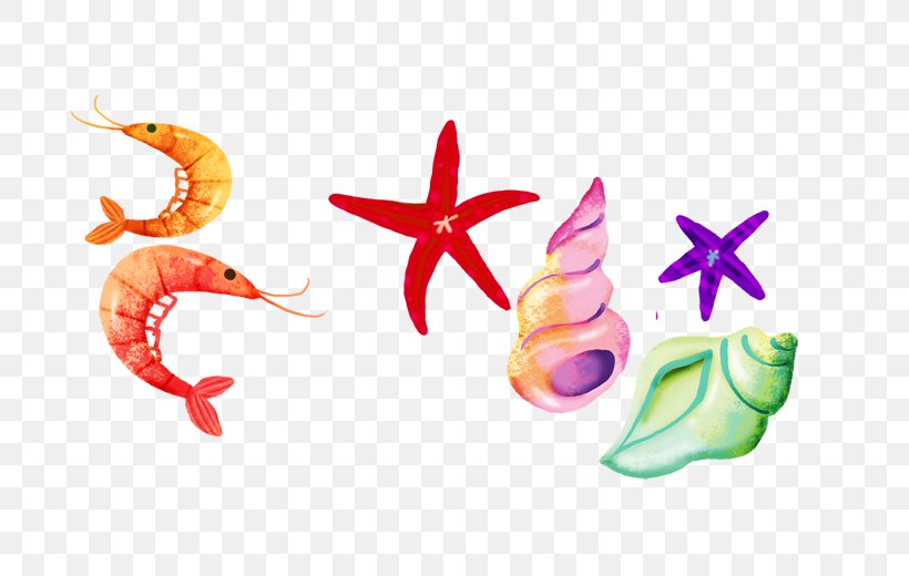Starfish Graphic Design Seafood, PNG, 790x520px, Starfish, Cartoon, Designer, Organism, Seafood Download Free