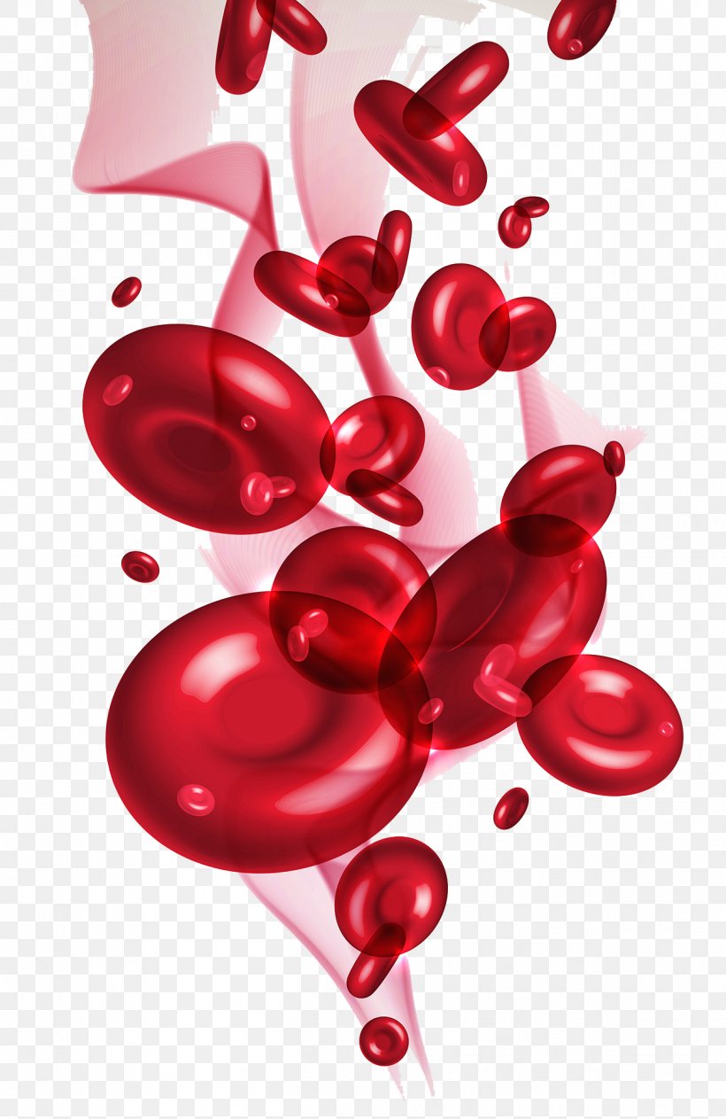 Red Blood Cell, PNG, 1251x1928px, Red Blood Cell, Blood, Blood Cell, Cell, Fruit Download Free
