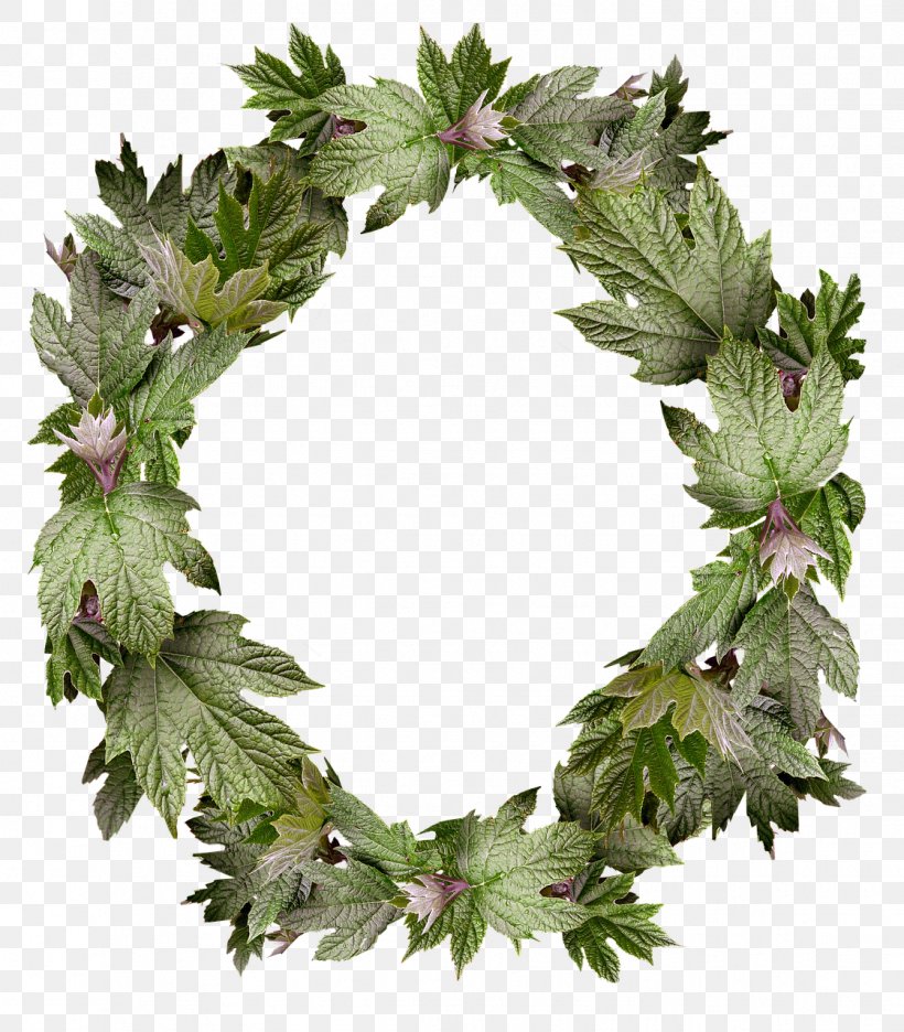 Wreath Picture Frames Flower Image Floral Design, PNG, 1121x1280px, Wreath, Decorative Arts, Floral Design, Floral Photo Frame, Flower Download Free