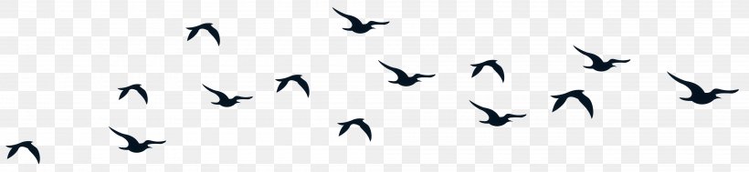 Bird Clip Art, PNG, 4000x923px, Bird, Animal Migration, Beak, Bird Migration, Black And White Download Free